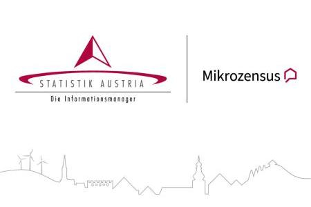 Mikrozensus LOGO