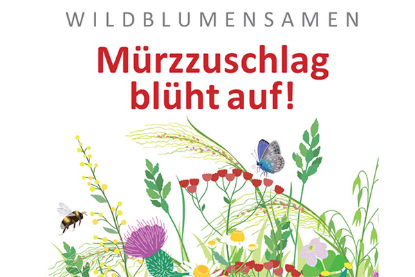 muerzzuschlag-blueht-auf